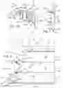 Fig. 04 - WALL CLADDING PLANKS, CLIPS, SYSTEMS, AND METHODS OF INSTALLATION AND USE