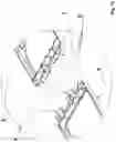 Fig. 13 - Modular supporting element for making raised and/or ventilated reinforced concrete floors