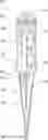 Fig. 01 - Yard Stake