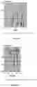 Fig. 15 - High energy fracking device for focused shock wave generation for oil and gas recovery applications