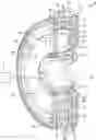 Fig. 01 - Engine variable camshaft timing phaser with planetary gear set