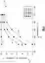 Fig. 03 - Cracking and separation of ammonia fuel