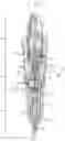 Fig. 01 - Fuel injector with internal filter element
