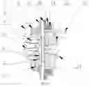 Fig. 02 - Electromagnetic dog clutch