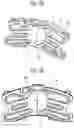 Fig. 06 - Disk Brake and Brake Pad
