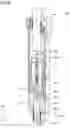 Fig. 07 - SHOCK ABSORBER