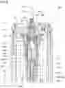 Fig. 10 - SHOCK ABSORBER