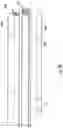 Fig. 11 - Luminaire