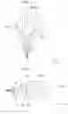 Fig. 05 - Vehicle lamp