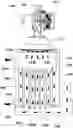 Fig. 01 - HEAT EXCHANGER HAVING CIRCULATION GUIDE