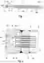 Fig. 02 - Shell and tube heat exchanger