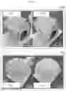 Fig. 41 - Radiative cooling device including paint coating layer composed of nano or micro particles