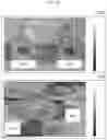 Fig. 42 - Radiative cooling device including paint coating layer composed of nano or micro particles