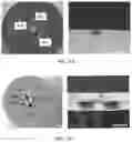 Fig. 08 - NON-CONTACT CELL MANIPULATION SYSTEM, DEVICE AND METHOD