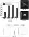 Fig. 24 - NON-CONTACT CELL MANIPULATION SYSTEM, DEVICE AND METHOD