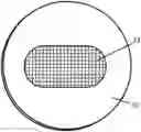 Fig. 01 - GRAPHENE ENCAPSULATION OF BIOLOGICAL MOLECULES FOR SINGLE MOLECULE IMAGING