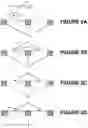 Fig. 03 - GRAPHENE ENCAPSULATION OF BIOLOGICAL MOLECULES FOR SINGLE MOLECULE IMAGING