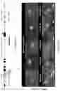 Fig. 23 - Target-locking single-molecule nanoscopy