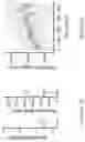 Fig. 28 - Target-locking single-molecule nanoscopy