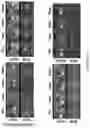 Fig. 29 - Target-locking single-molecule nanoscopy