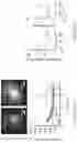 Fig. 50 - Target-locking single-molecule nanoscopy
