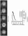 Fig. 52 - Target-locking single-molecule nanoscopy