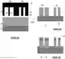 Fig. 11 - Surface plasmon resonance sensor comprising metal coated nanostructures and a molecularly imprinted polymer layer