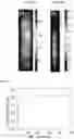 Fig. 07 - System and method for imaging via scattering medium