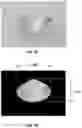 Fig. 09 - Apparatus and method for assessing optical quality of gemstones