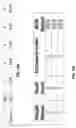 Fig. 16 - Apparatus and method for assessing optical quality of gemstones