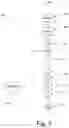 Fig. 05 - Chromatography system