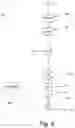 Fig. 06 - Chromatography system