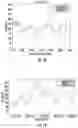 Fig. 19 - APPARATUS AND METHODS FOR ANALYTE SENSOR MISMATCH CORRECTION