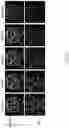 Fig. 05 - LIVE CELL IMAGING DYNAMIC BH3 PROFILING