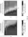 Fig. 06 - LIVE CELL IMAGING DYNAMIC BH3 PROFILING