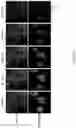 Fig. 09 - LIVE CELL IMAGING DYNAMIC BH3 PROFILING