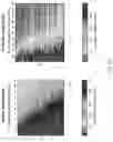 Fig. 12 - LIVE CELL IMAGING DYNAMIC BH3 PROFILING
