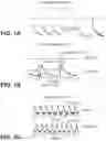 Fig. 02 - HUMAN IN VITRO CARDIOTOXICITY MODEL