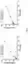Fig. 05 - BETA-THALASSEMIA POTENCY ASSAY
