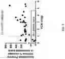 Fig. 06 - BETA-THALASSEMIA POTENCY ASSAY