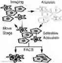 Fig. 01 - Visual cell sorting