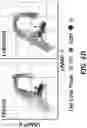 Fig. 10 - Visual cell sorting