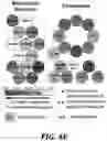 Fig. 11 - Visual cell sorting