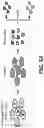 Fig. 13 - Visual cell sorting