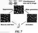 Fig. 17 - Visual cell sorting