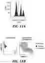Fig. 27 - Visual cell sorting