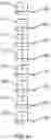 Fig. 06 - PUMILIO DOMAIN-BASED MODULAR PROTEIN ARCHITECTURE FOR RNA BINDING