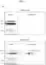Fig. 10 - Biomarker Detection Methods and Systems and Kits for Practicing Same