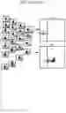 Fig. 29 - Biomarker Detection Methods and Systems and Kits for Practicing Same