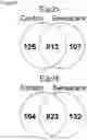 Fig. 05 - Senescent cell biomarkers
